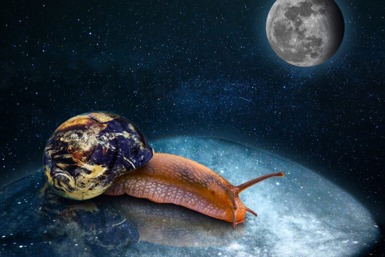 snail